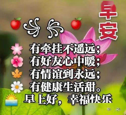 张非常漂亮鲜花早上好动态表情图带字精选,早晨问好关心朋友群友的