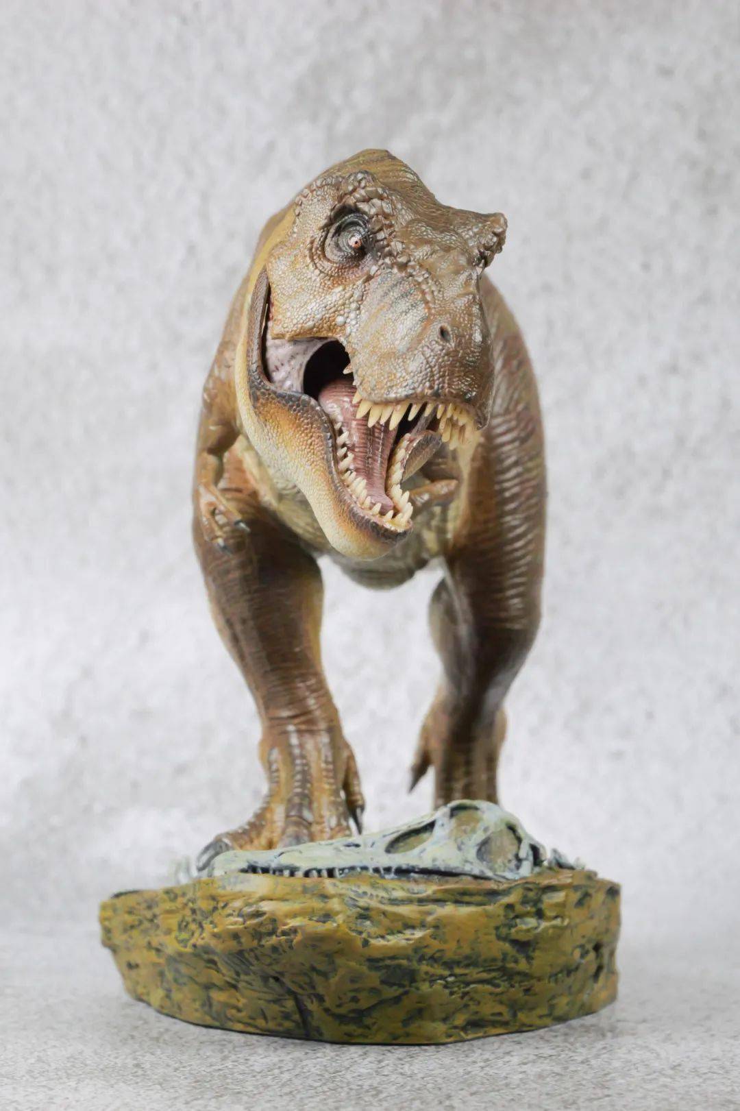 本心楠改狂热映画系列霸王龙五周年特别版入手