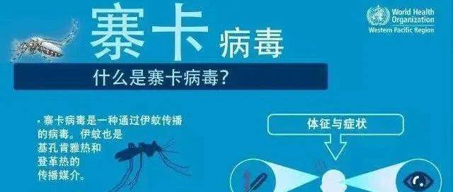 《科学》：一种蚊子亚种容易感染寨卡病毒，加剧寨卡疫情蔓延_小头_传播_畸形