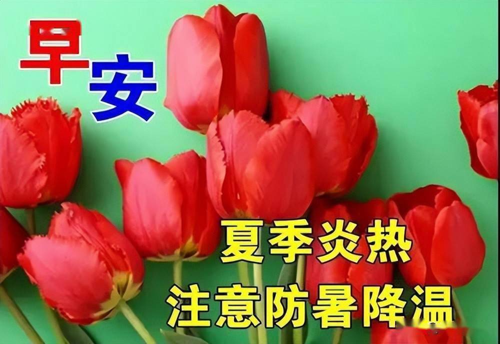 酷暑最新早上好表情大全感恩有你时光不老陪您永永远远