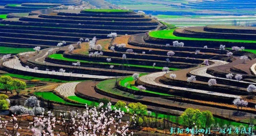 美丽市县丨中国最美旱作梯田彭阳金鸡坪梯田公园