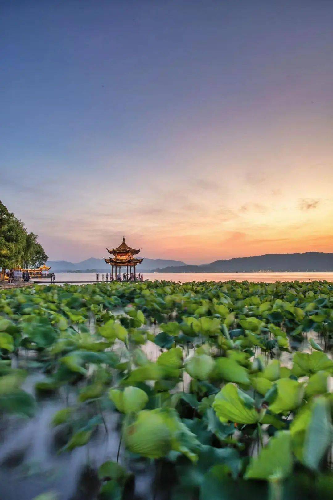 三伏妙计西湖夏日美景陪你清凉一夏多图