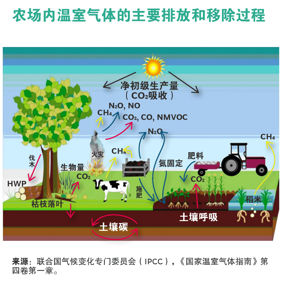 通往农业碳中和之路_排放_温室_气体