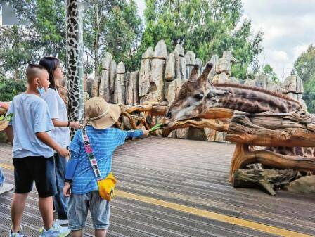 云南野生动物园迎来火热暑假游