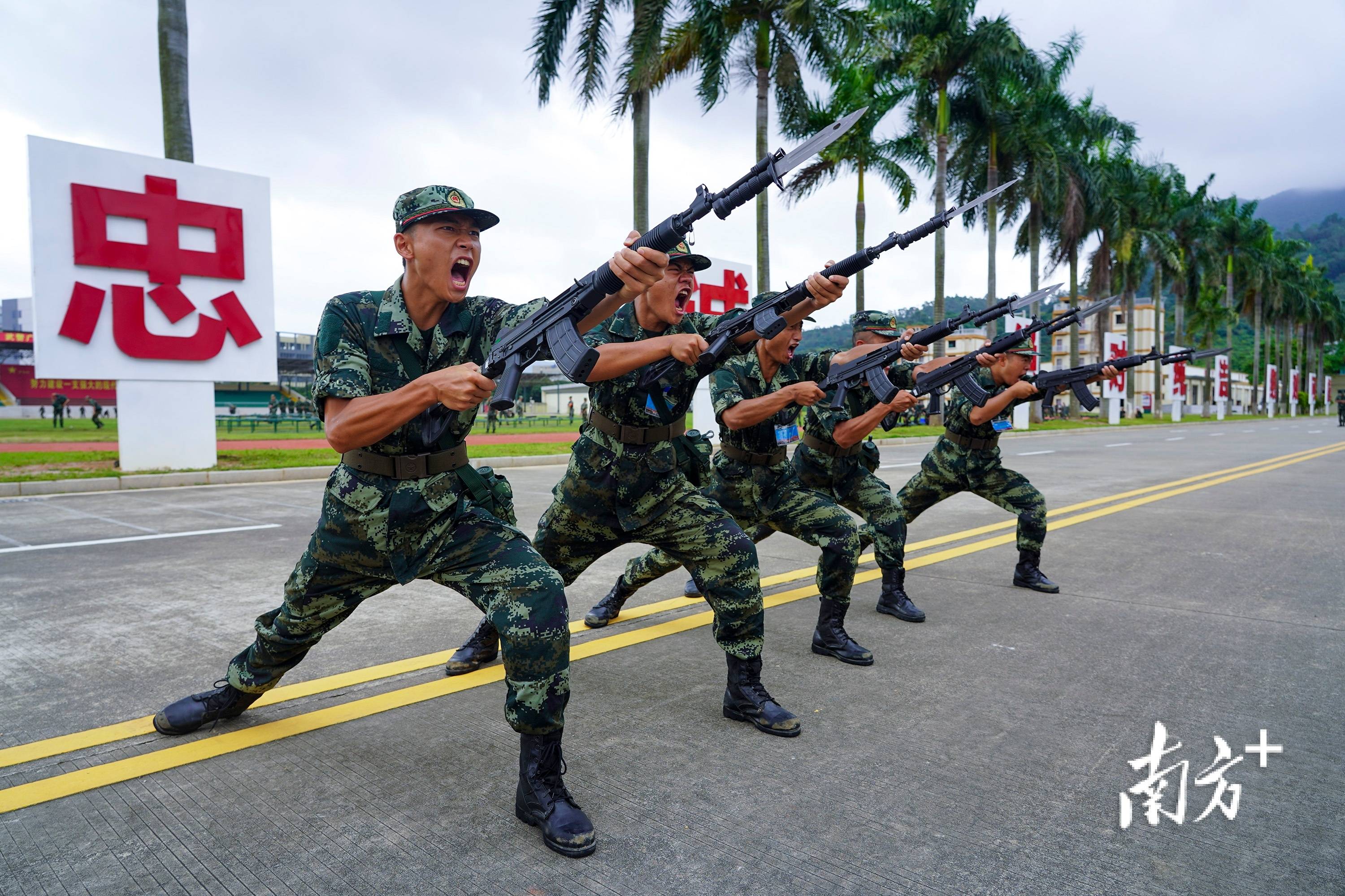 深圳湾武警图片