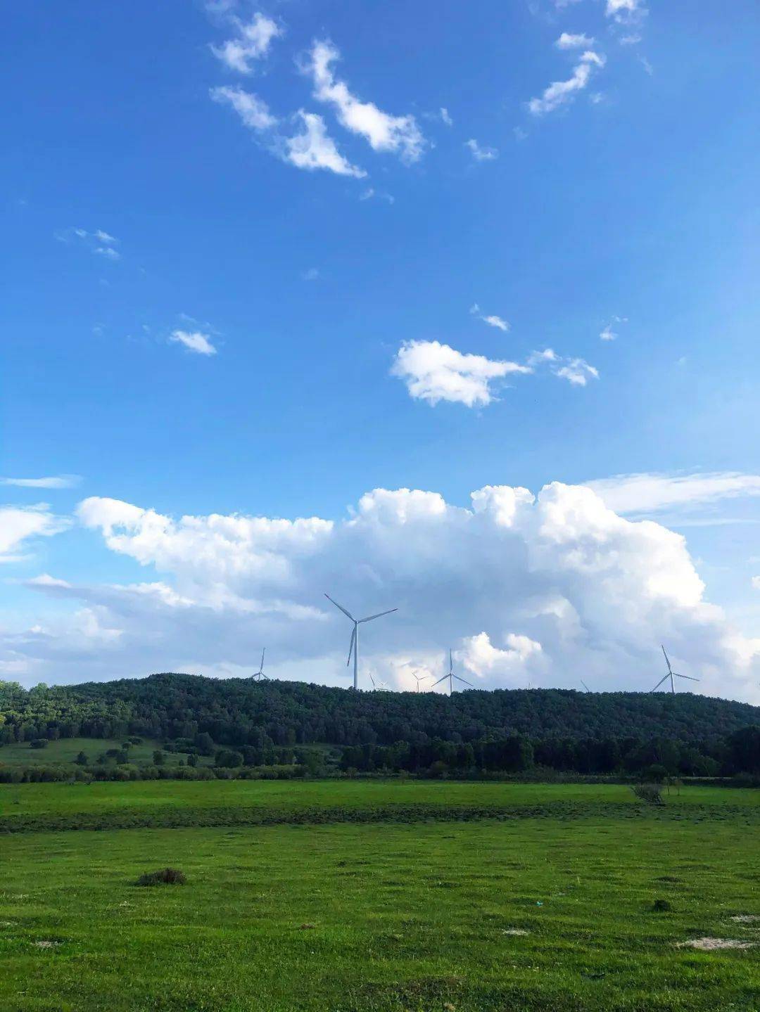 御道口草原森林风景区有你期待的夏日_月亮_承德_夏天