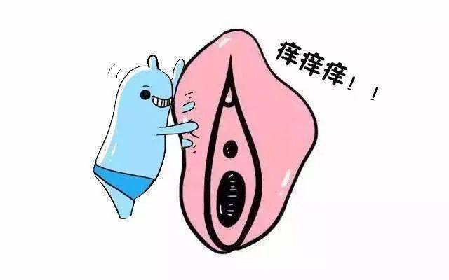 霉菌性阴道炎总是反反复复怎么办?_内裤_清洗_用药