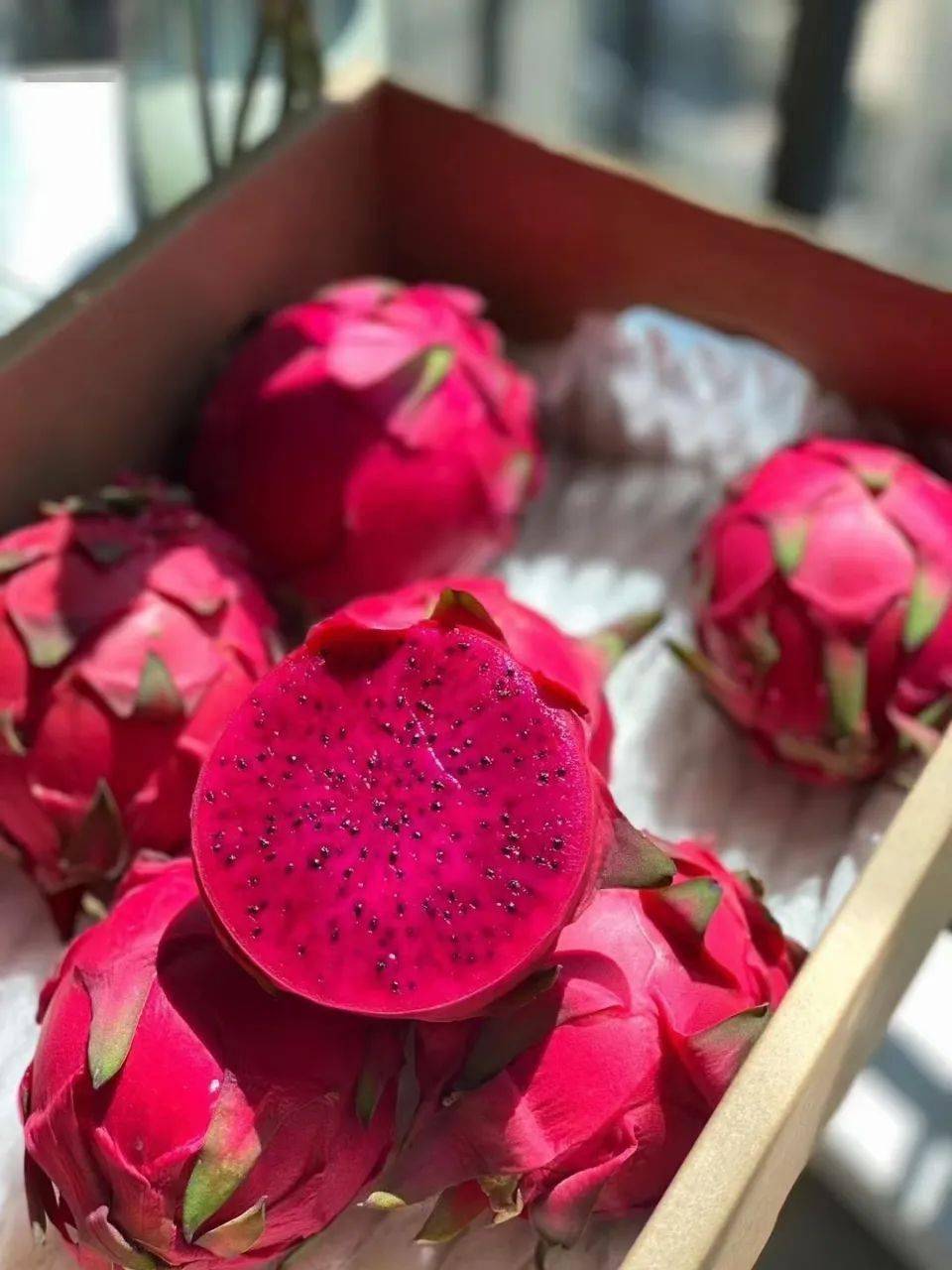 活动福建红心火龙果果肉饱满圆润口感甜蜜多汁