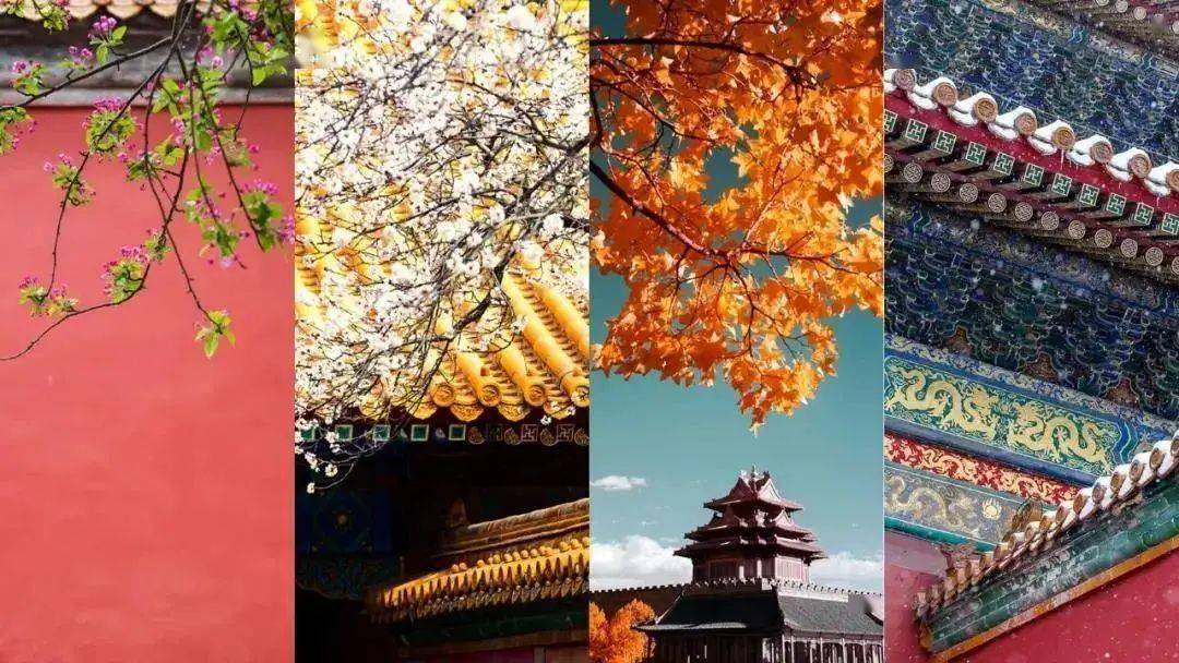 故宫到底有多美超燃故宫珍邮典藏大全带你看遍故宫四季