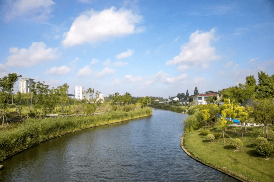 泰州里下河美图美景伴你清凉一夏