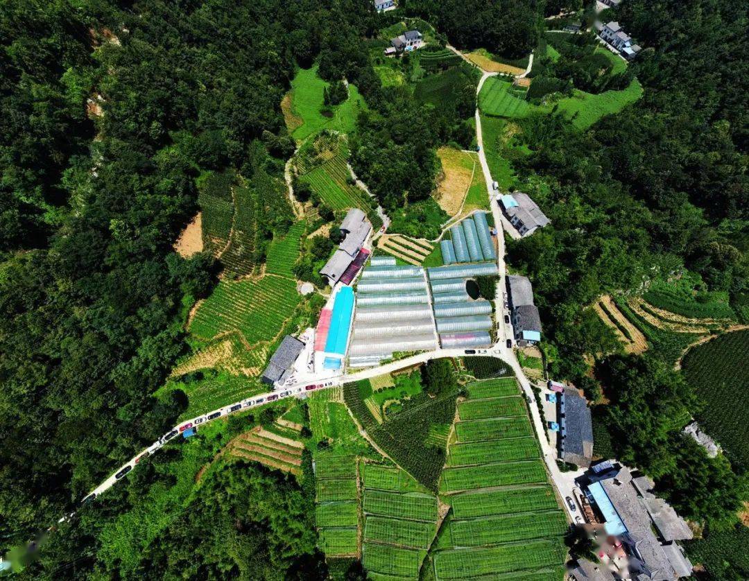 中岭村村委会广场7月24日,第二届贺家坪镇高山土豆节在中岭村如期举办