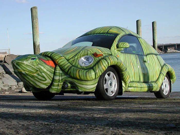 年轻人不要宅在家里_网友_汽车_河南