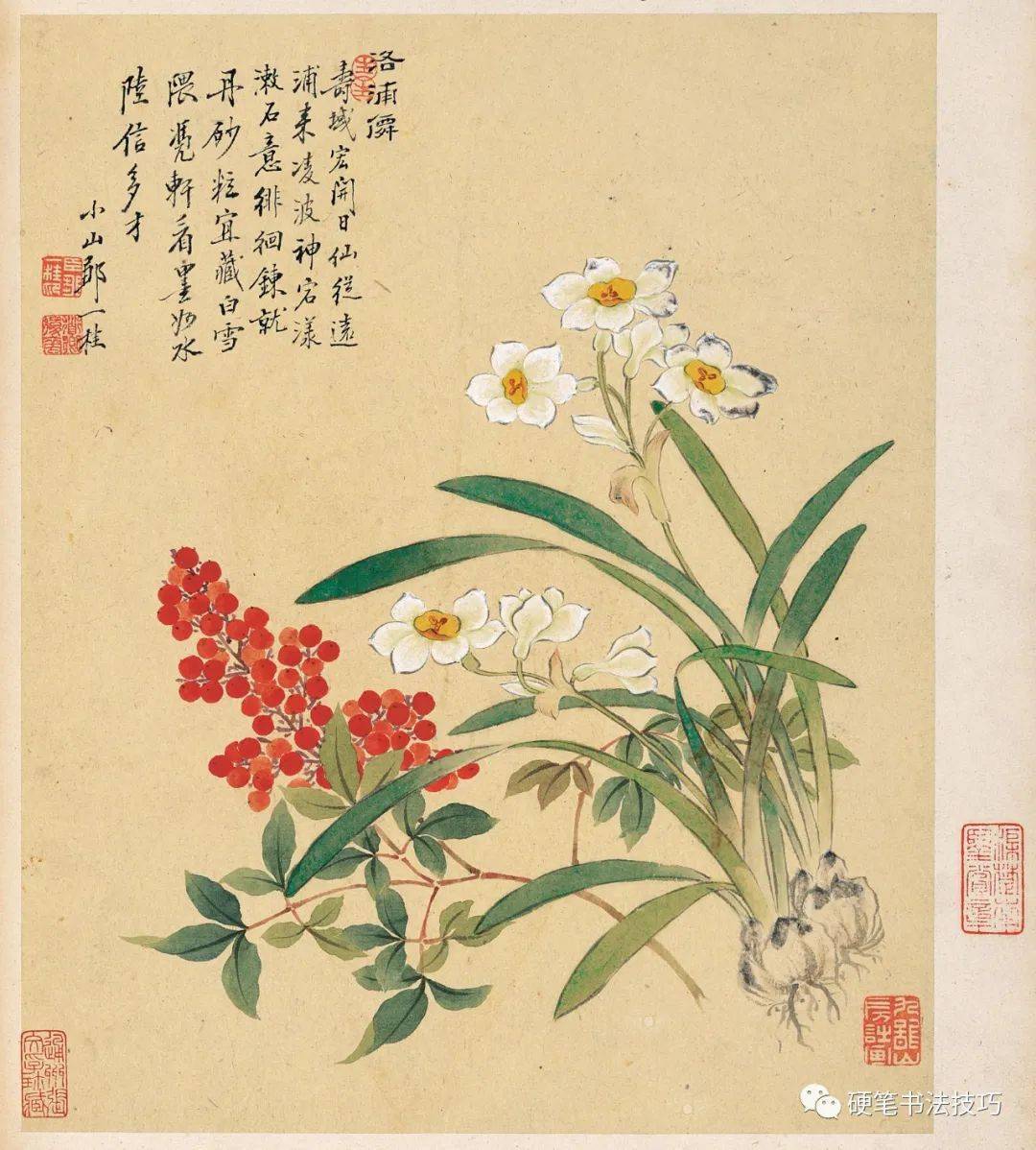 一桂  花卉圖 清鄒一桂畫花卉冊水木樨石竹僧鞋菊- 故宮