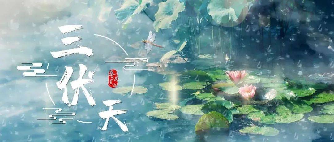 三伏天 | 今日中伏,夏季养生的最佳时机,万万不可错过!_心脑血管_药物_破坏作用