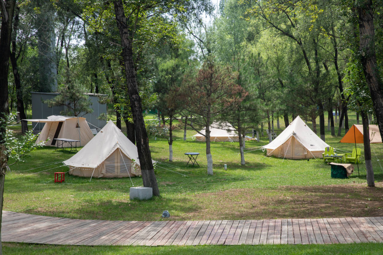世园仲夏夜 玩转露营季_营地_公园_游客
