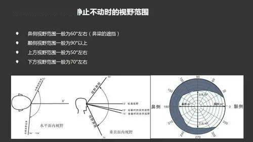 正常人眼视野检查图图片