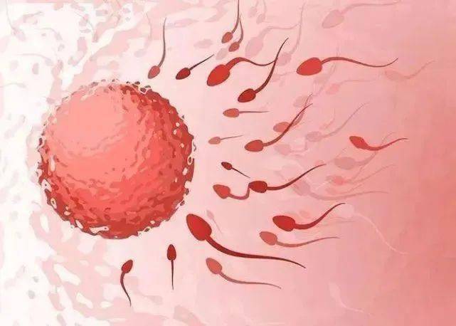 生化妊娠属于自然流产的一种,精卵结合了,但并没有成功回到子宫着床