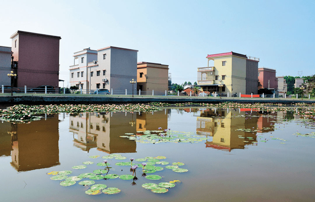 文明创建丨江门开平市人居环境再升级镇容村貌展新颜