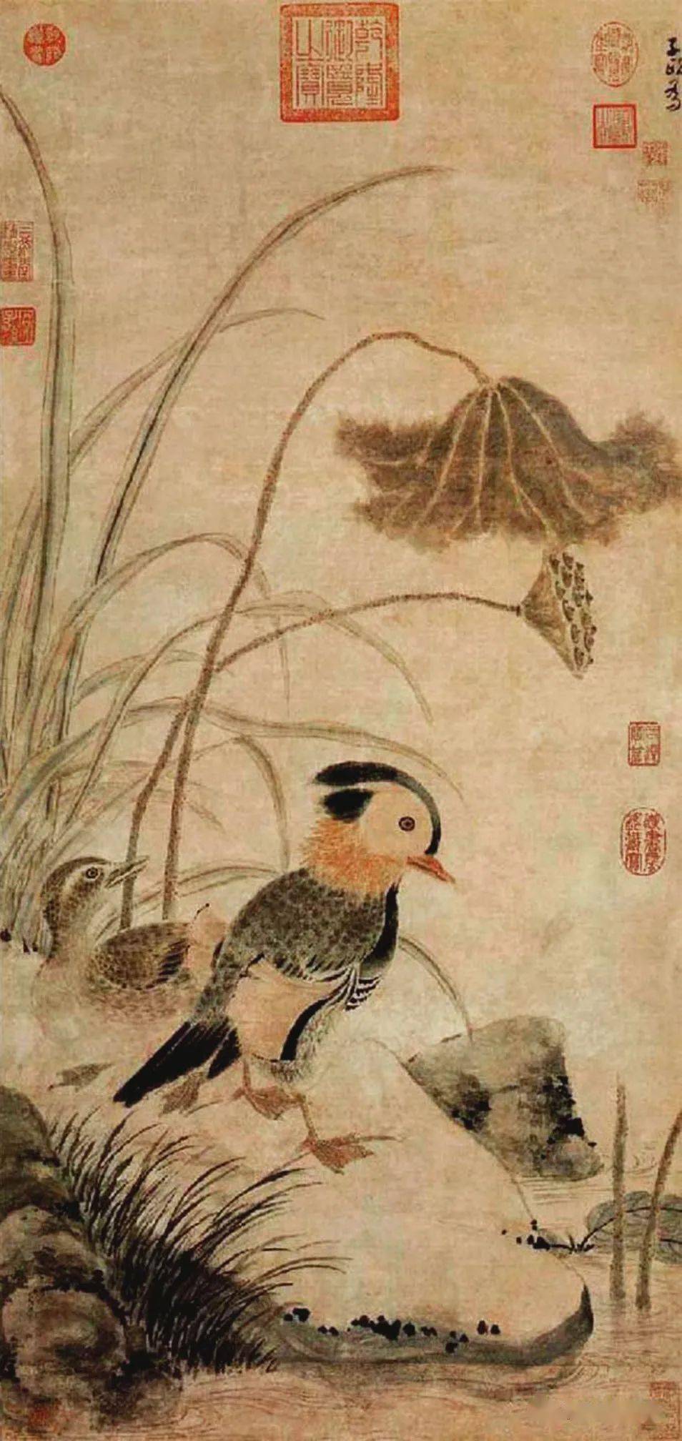 书画世界】林良花鸟画师承及笔墨真伪辨析_搜狐网