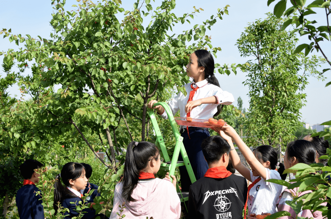 四个育人载体,夯实思政根基——以汝州市思政课一体化实践为例_教育_活动_课程