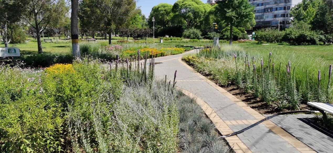 房山:提升城市园林品质 建设生态宜居之城_公园_绿地_服务半径