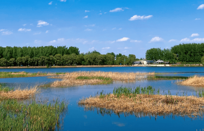 收藏顺义这几个夏日游玩地戳中了我的心巴