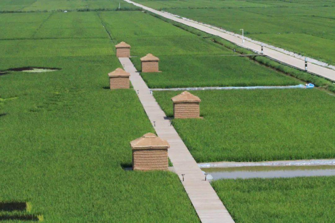 网红小火车等,在发展现代农业的同时附带旅游业,可直接带动万庆村民