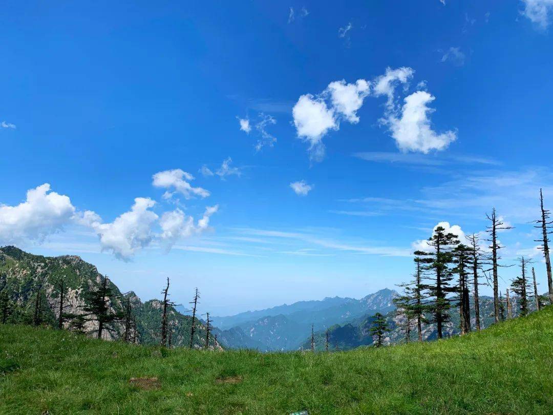 关注丨加速文旅复苏2022年西安秦岭生态旅游季精彩启幕