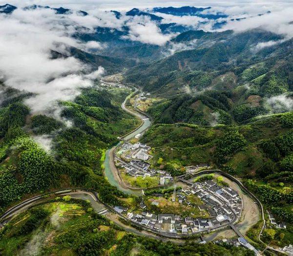 黄山名茶，让国茶更璀璨