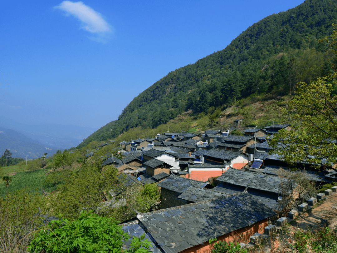 鲁甸县龙树镇塘房村图片