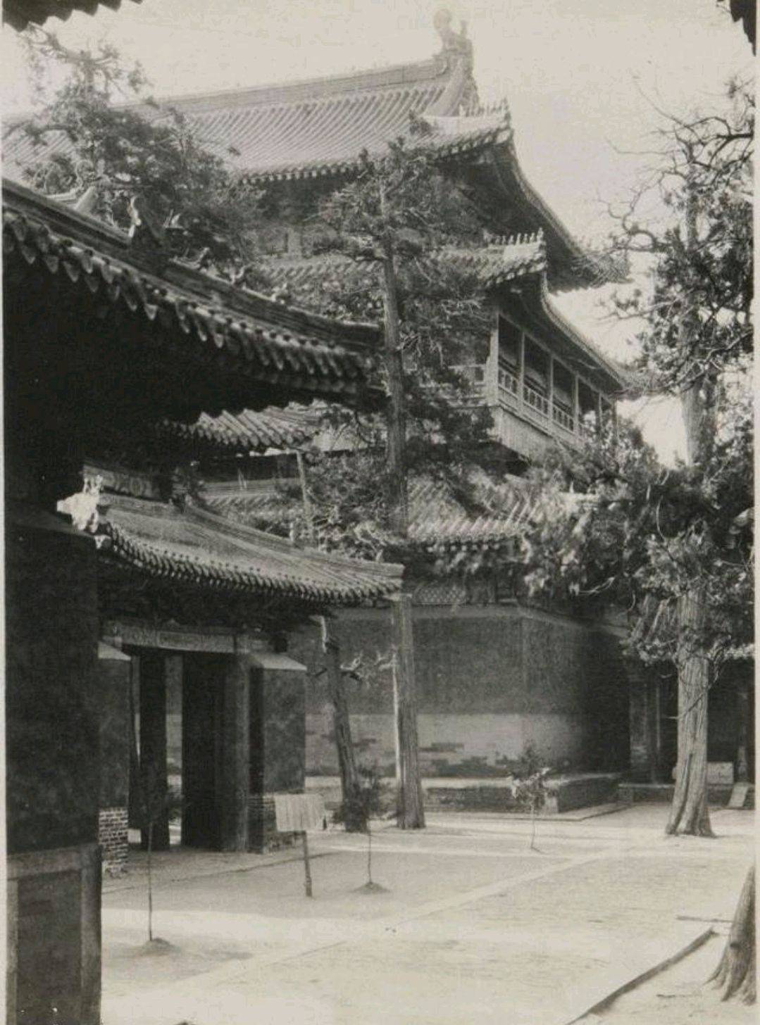 曲阜老照片:1925年的千年孔庙,每一张都透着沧桑之美_孔子_建筑_图片