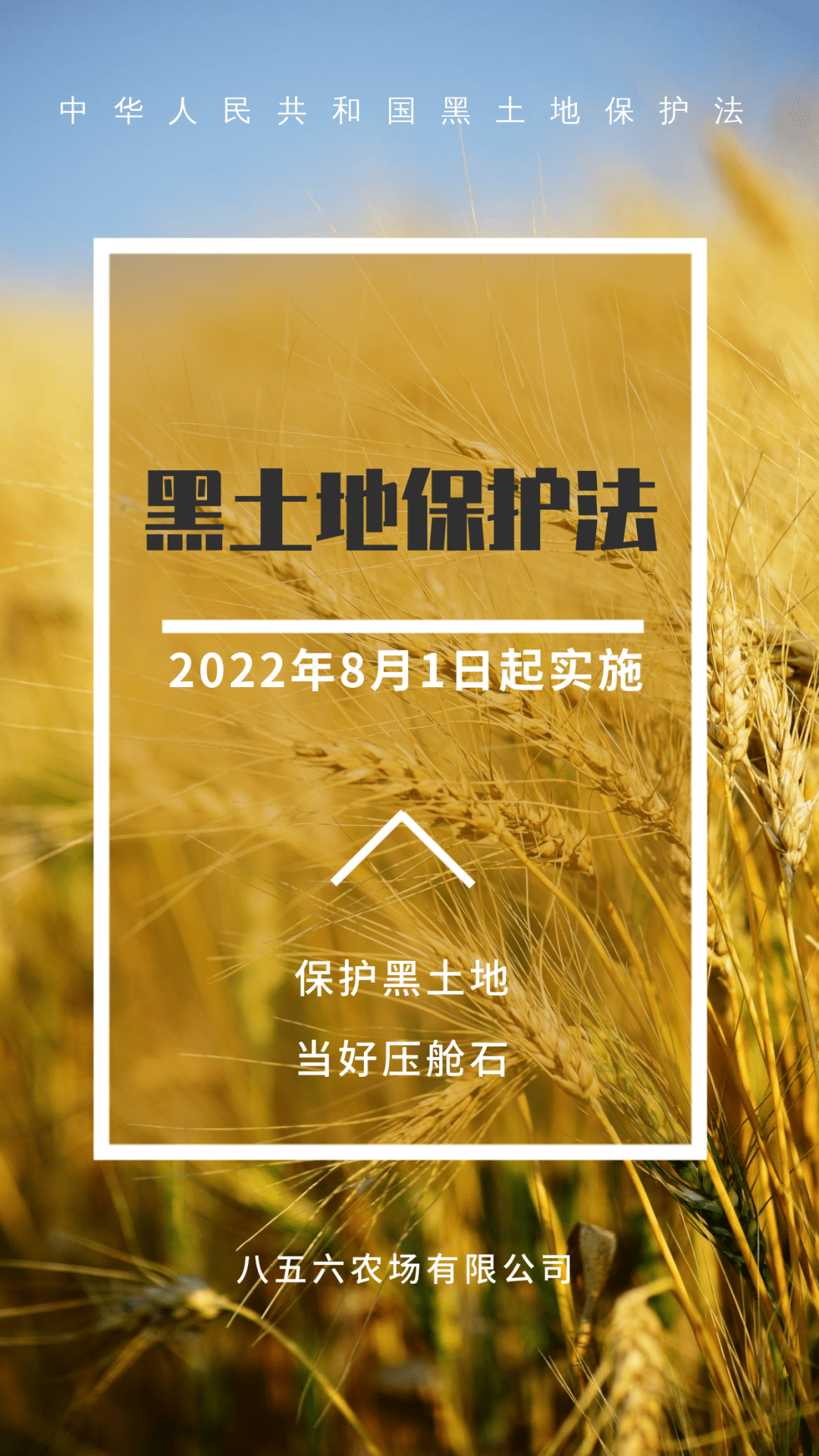 856黑土地保护黑土地保护法2022年8月1日起实施
