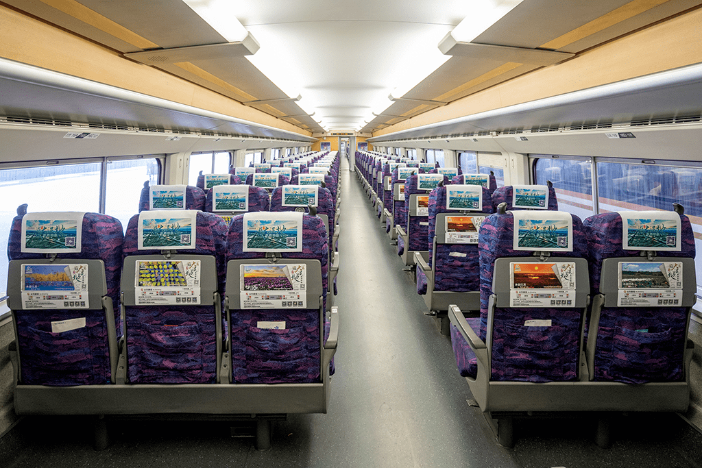 抖音拍荷达人荷小仙走进国家5a景区泗洪洪泽湖湿地