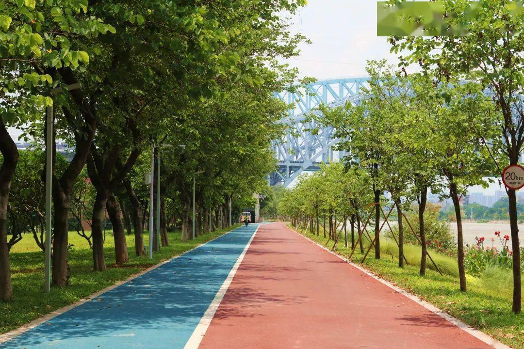 5千米碧道,超大航天主题球场!东平水道沿岸"大变身"_景观_步道_宋兹檀