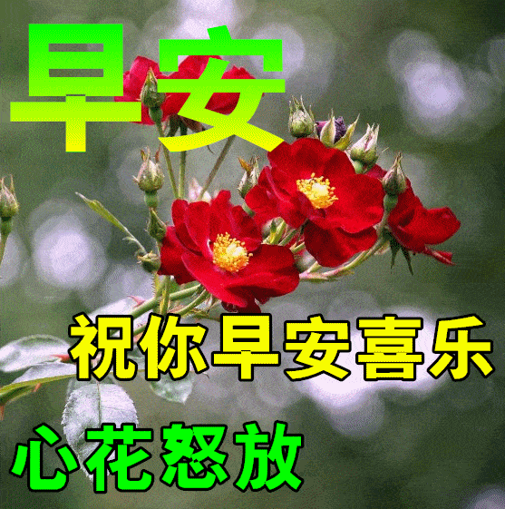 8月2日最新早上好祝福动态表情图片大全早上好问候语句子