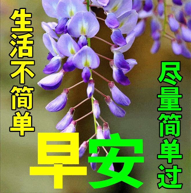 8月3日最漂亮早上好动态表情图片大全,早晨好动图美图大全_祝福_人生
