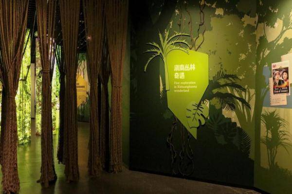 浙江自然博物院举办西双版纳特展再现乡贤探秘雨林之路