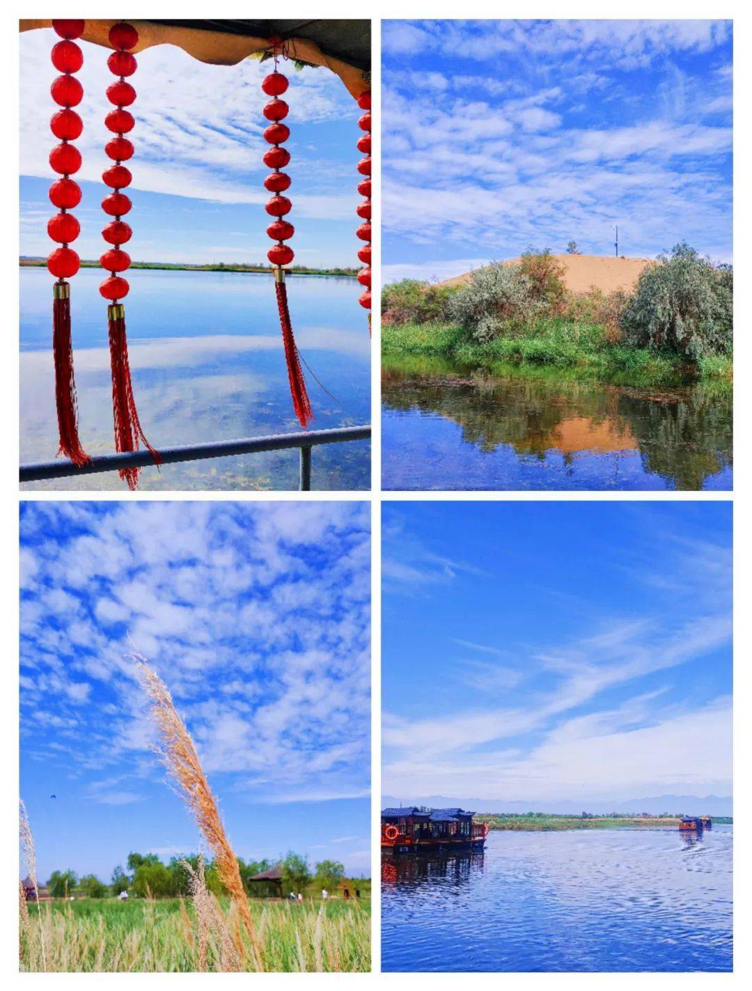 美丽市县丨黄沙古渡夏日景色正浓 周末一起嗨玩起来 景区 游客 宁夏