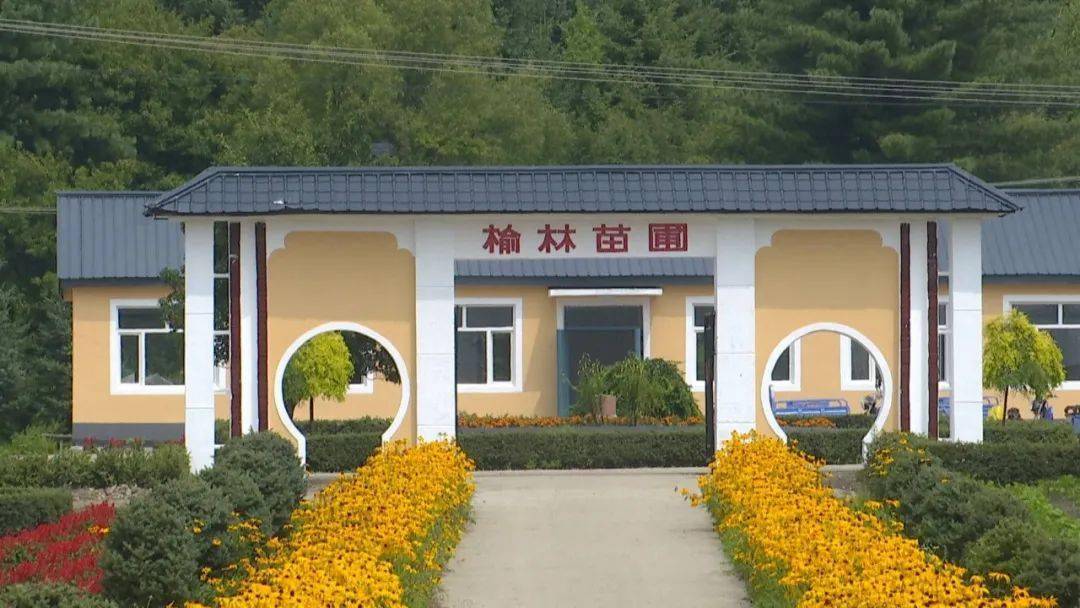 临汾苗圃网站建设公司_(临汾苗圃网站建设公司有哪些)