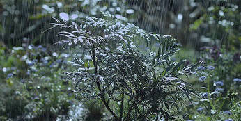 西安部分地区迎来短时暴雨 雨量分布不均匀并伴有短时阵风