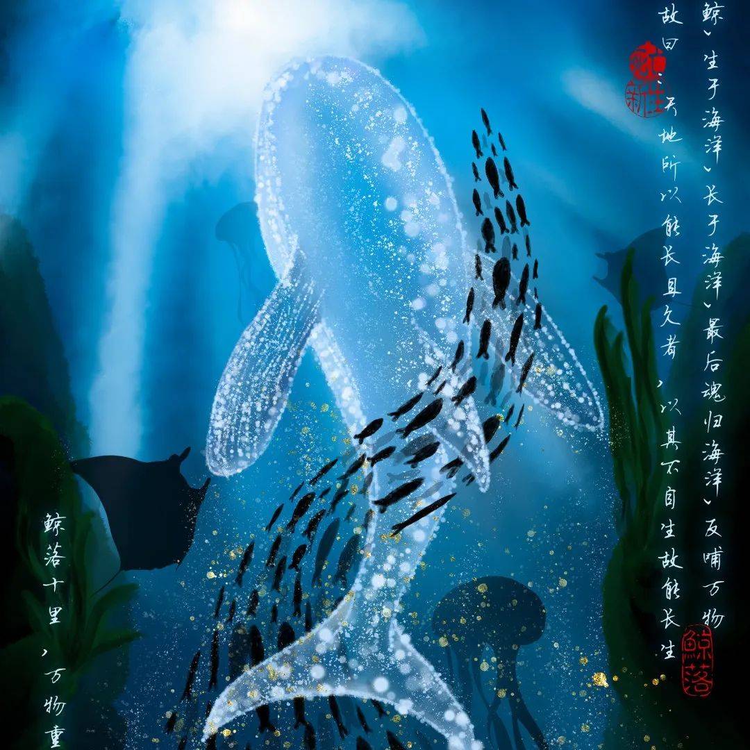 生命是一首歌丨《鲸落十里,万物重生》_海洋_鲸鱼_李晟瑜