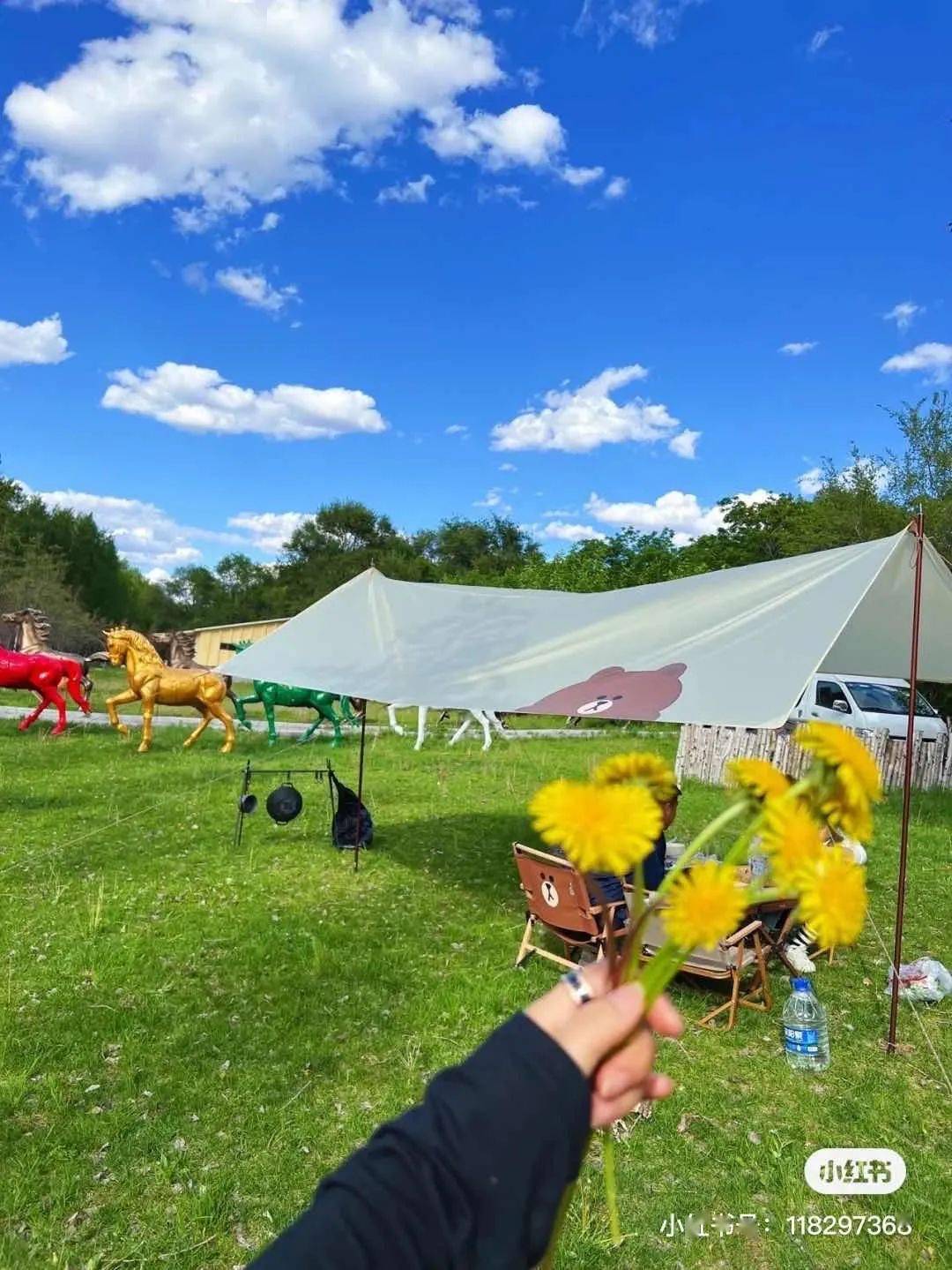 這個消夏避暑地你知道嗎