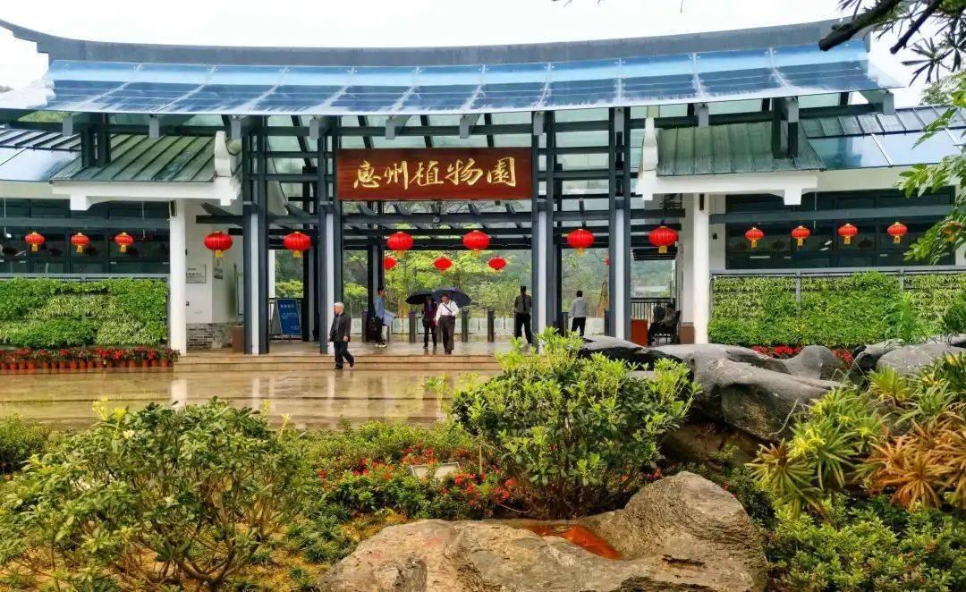 06399夏日与你约惠盐洲岛红树林白鹭新加坡同款植物园惠州纯玩2天叹