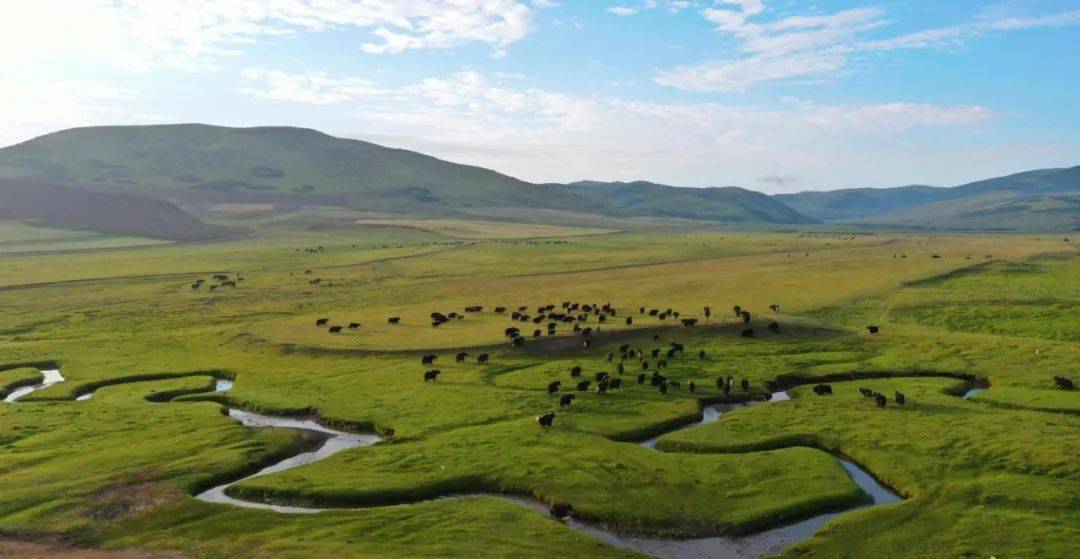 狼渡滩:隐藏在岷县的草原秘境,高原明珠!_闾井镇_岷州_定西市