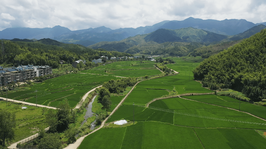 一起了解一下该项目8月4日,龙泉市小梅镇绿色农田建设项目在