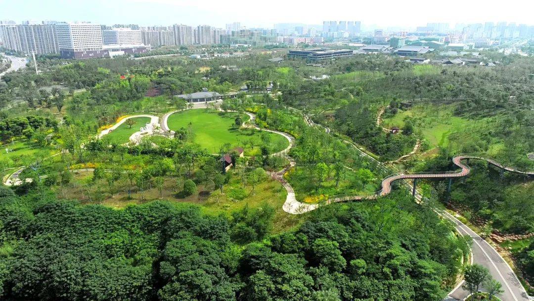 入选杭州亚运会碳中和林,正和生态金华赤山公园为低碳亚运添彩_植物