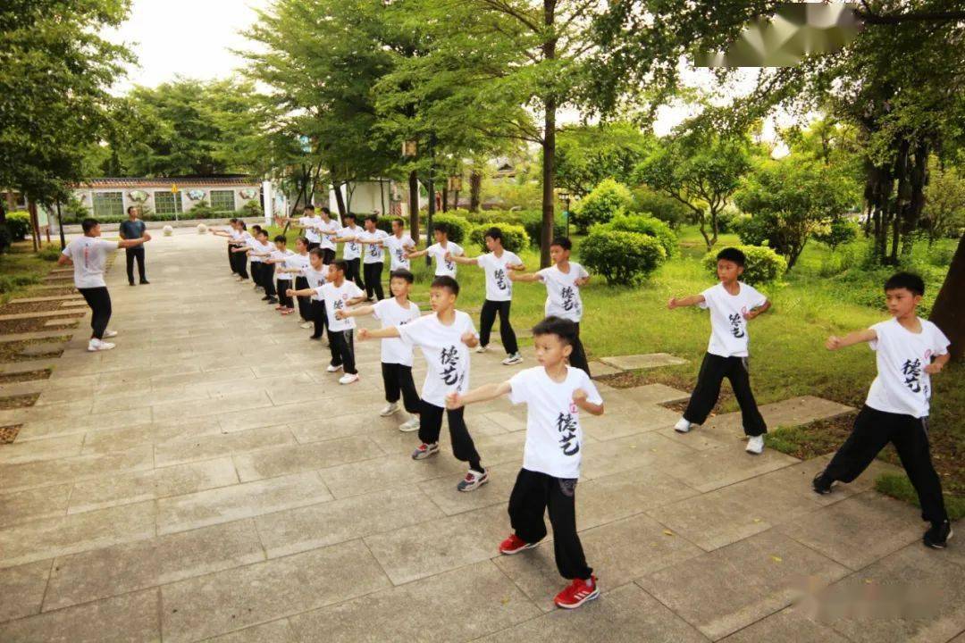 陈华顺永春拳图片