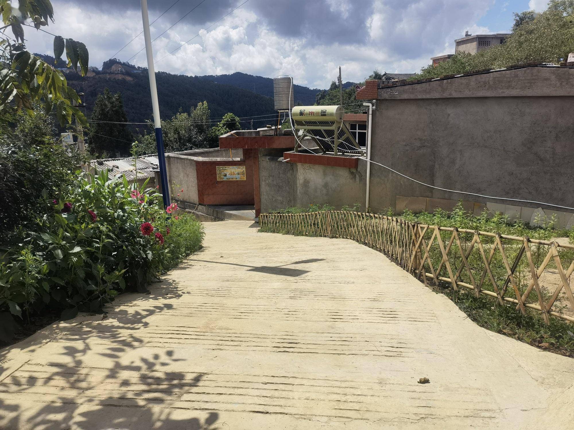 楚雄市中山镇:推窗见景 开门见绿 开启人居环境"美颜"模式_村里_工作