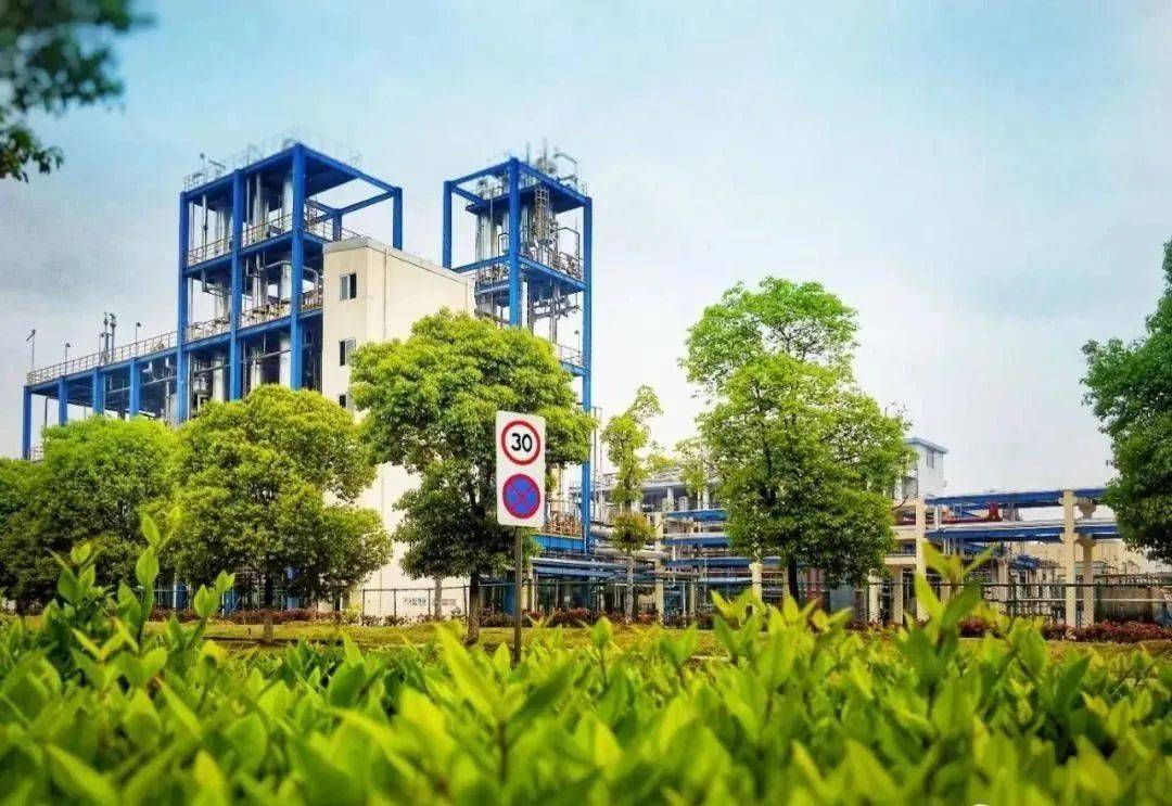 【今日关注】"促转型,调结构,优布局,强发展"巨化在行动_产业_战略