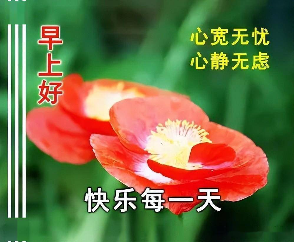 甄选最新早上好表情大全吉祥好运送给你